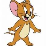 হাসবি,নাকি কাতো কুতো দিমু ? Profile Picture