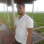 md saidur Profile Picture