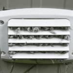 Philadelphia Dryer Vent Cleaning profile picture