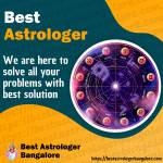Famous astrologer Profile Picture