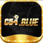 C54 blue profile picture