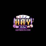 HAYWIN EU Profile Picture